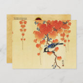 ブルーティットバード、パウロニアブランチ、レッド紅葉 シーズンポストカード (正面/裏面)