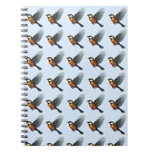 ブルーティット ノートブック (正面)