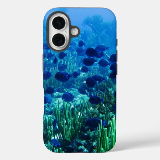 ブルーディスカスフィッシュの群れの水中写真 Case-Mate iPhoneケース (裏面)