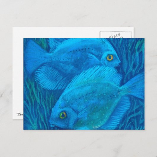 ブルーディスキュース、熱帯魚の水中動物アート ポストカード (正面/裏面)