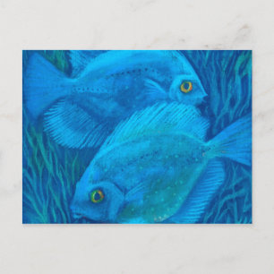 ブルーディスキュース、熱帯魚の水中動物アート ポストカード