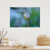 ブルーデイジーブド写真プリント/ポスター – "Potential" ポスター (キッチン)
