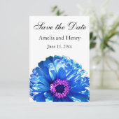 ブルーデイジーブルーフローラ写真 セーブザデート (スタンド正面)