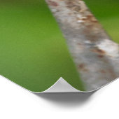 ブルーデイフラワーツインズがリンクのポスターから脱出 ポスター (角)