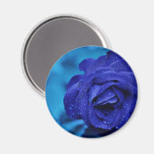 ブルーデウドロップバラ マグネット (正面/裏面)