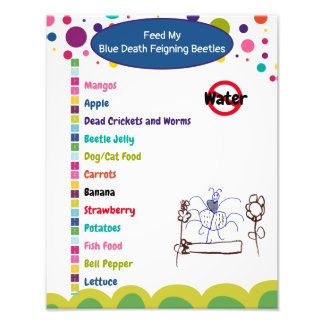 ブルーデス型甲虫シ気にート フォトプリント           