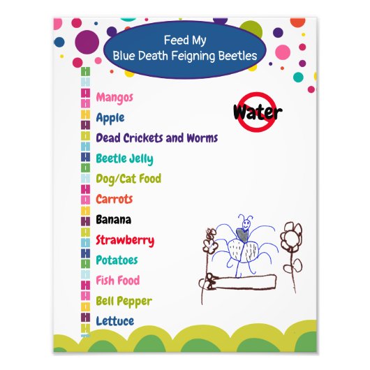 ブルーデス型甲虫シ気にート フォトプリント            (正面)