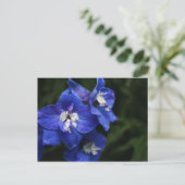 ブルーデルフィニウムの花はがき ポストカード (スタンド正面)