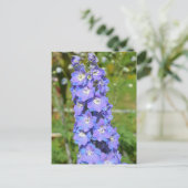 ブルーデルフィニウムの花 ポストカード (スタンド正面)