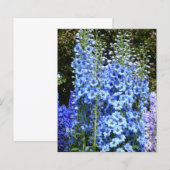 ブルーデルフィニウムフローラフラワーズガーデンハガキ (正面/裏面)