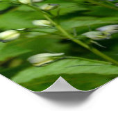 ブルーデルフィニウム花ポスター ポスター (角)