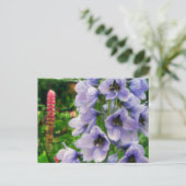 ブルーデルフィニウム ポストカード (スタンド正面)