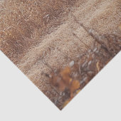 ブルートラクタバーンドフィールドデクページ 薄葉紙 (詳細)