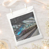 ブルートレイン フェイバーバッグ (クリップ留めされた状態)