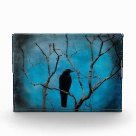 ブルートワイライトカラス フォトブロック