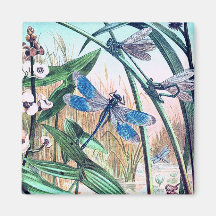 ブルートンフライアットザポンドーヴィンテージイラストレーション