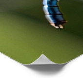 ブルートンボ ポスター (角)