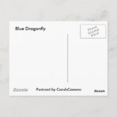 ブルートンボ ポストカード (裏面)