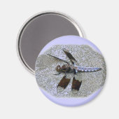 ブルートンボ マグネット (正面/裏面)