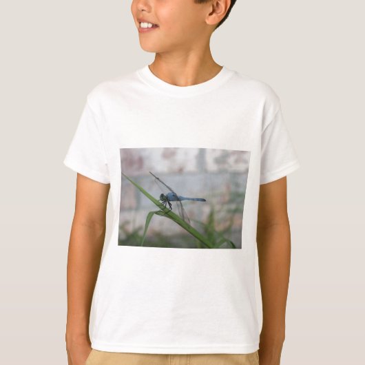 ブルートンボ Tシャツ (正面)