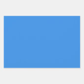 ブルードゥフランスカ無地のラー ラッピングペーパーシート (正面2)