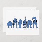 ブルードッグお尻 ポストカード (正面/裏面)