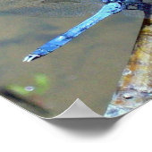 ブルードラゴンフライ2 ポスター (角)