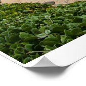 ブルードリーム・オブ・スカイ ポスター (角)