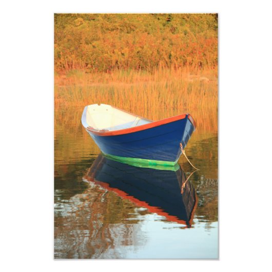 ブルードリー フォトプリント            (正面)