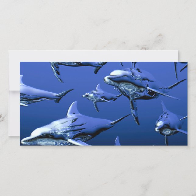 ブルードルフィン (正面)