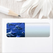 ブルードルフィン ラベル (インサイチュ)