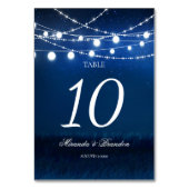 ブルーナイトライトとシルバーストリングラ結婚イト テーブルナンバー (正面)