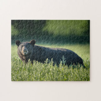 ブルーノザベアパズル ジグソーパズル