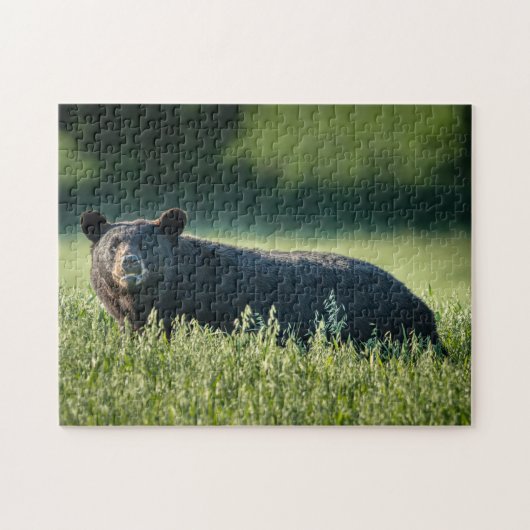 ブルーノザベアパズル ジグソーパズル (横)