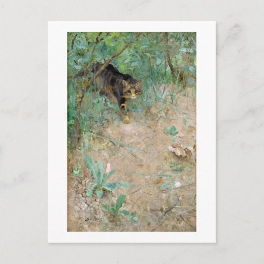 ブルーノライジェフォス ポストカード (正面)