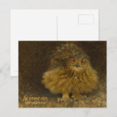 ブルーノリジェフォスイーグルフクロウCC0710野生動物 ポストカード (正面/裏面)