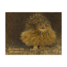 ブルーノリジェフォスイーグルフクロウCC0710野生動物