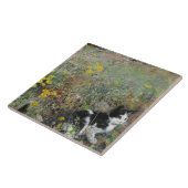 ブルーノリルジェフォルスキャットオンフラワーベッド タイル (側面)