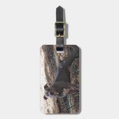 ブルーノーズピットブルラゲッジタグ ラゲッジタグ (正面縦)