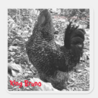 ブルーノ王ステッカー スクエアシール