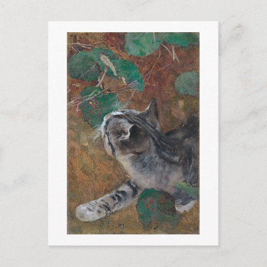 ブルーノ・リジェフォルス・キャット ポストカード (正面)