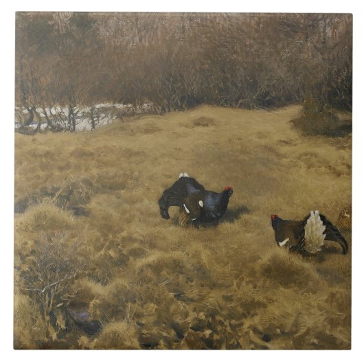 ブルーノ・リルジェフォルス – 黒いグロウズが展示中 タイル (正面)