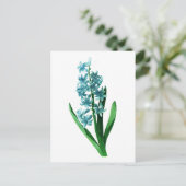 ブルーハイアシンバイピエールジョセフレドゥテ ポストカード (スタンド正面)