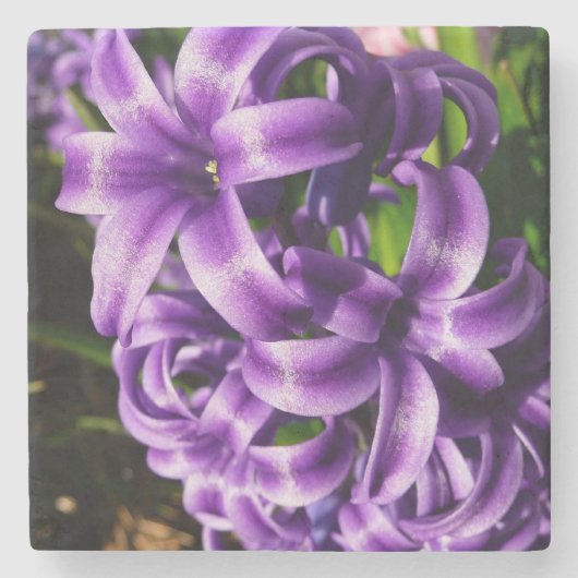 ブルーハイアシンII春フローラ ストーンコースター (正面)