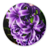 ブルーハイアシンII春フローラ セラミックノブ (正面)