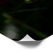 ブルーハイアシンII春フローラ ポスター (コーナー)