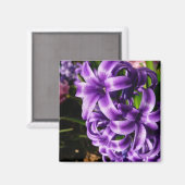 ブルーハイアシンII春フローラ マグネット (正面/裏面)