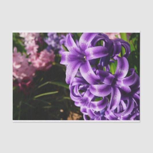 ブルーハイアシンII春フローラ 薄葉紙 (正面)