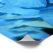 ブルーハイドレンジア ポスター (角)