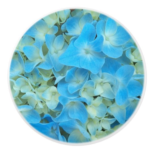 ブルーハイフランスのジゲアフローラ セラミックノブ (正面)